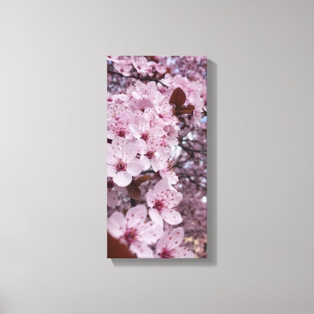 Toile murale Fleur de cerisier rose - Arbre Sakura (Recto)