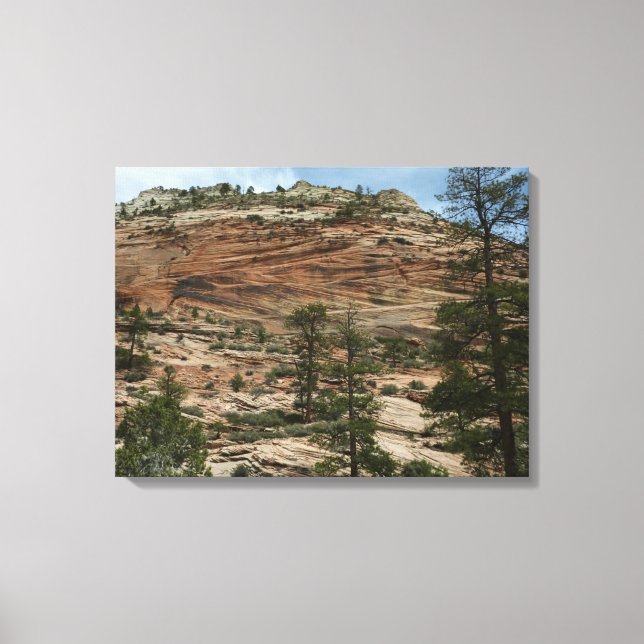 Toile Murs de roche usés dans le parc national de Zion (Recto)