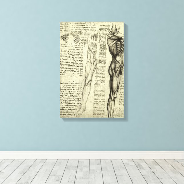 Toile Muscles humains anatomiques de Léonard de Vinci (Insitu (Plancher de Bois))