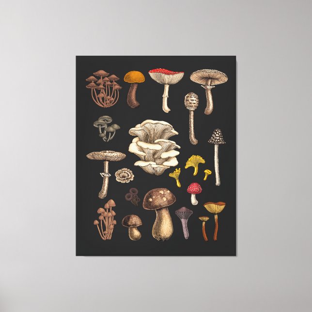 Toile Mushrooms sauvages (Recto)