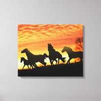 Mustangs sauvages