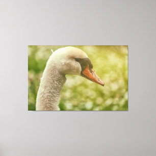 Toile Mute Swan