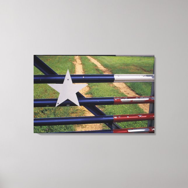 Toile N.A., États-Unis, Texas, lac Buchanan, drapeau du  (Recto)