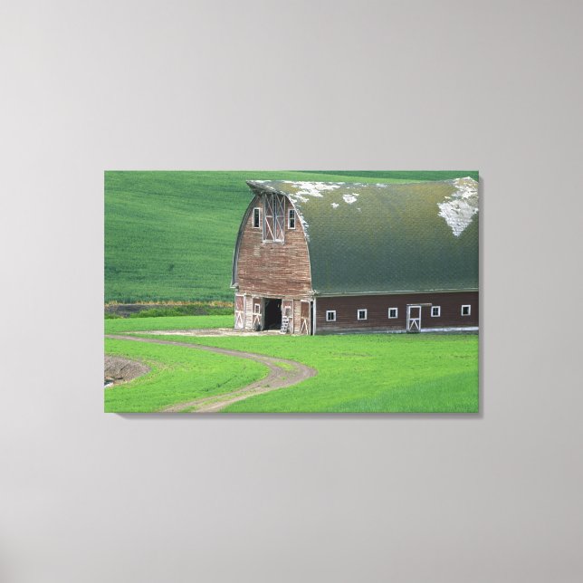 Toile N.A., États-Unis, Washington, comté de Whitman. Vi (Recto)