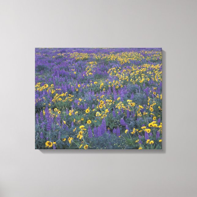Toile NA, États-Unis, Washington Dalles, Lupin et (Recto)