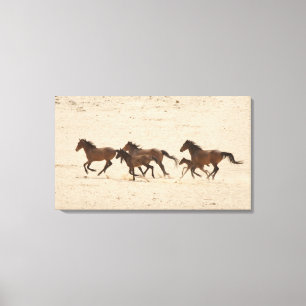 Toile Namibie, Aus. Groupe de chevaux sauvages sur