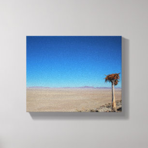 Toile Namibie Tirool Namib Désert Paysage Kokerboom