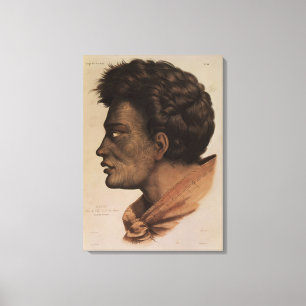 Toile Natai, un chef maori de baie de brème, Nouvelle