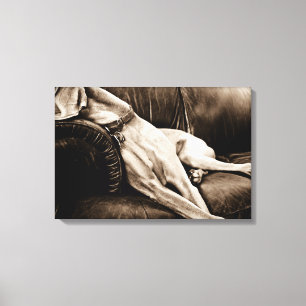 Toile Nation de Weimaraner : "Succédant le divan "