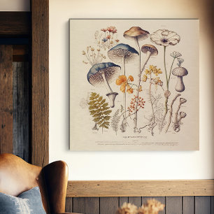 Toile Naturaliste de champignons vintages