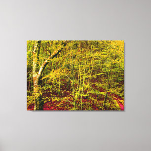 Toile nature