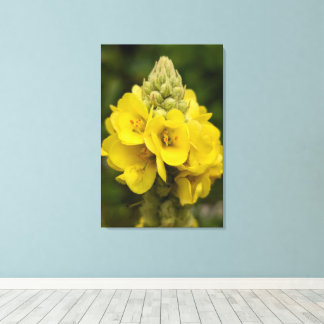 Toile Nature Photography Canvas Print