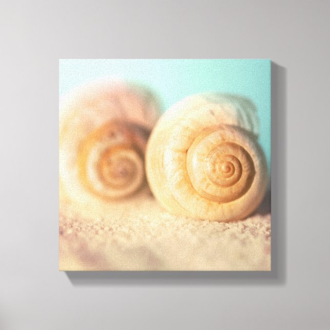 Toile Nautilus Shells (Recto)