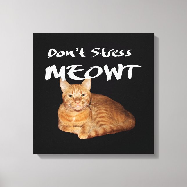 Toile Ne stress pas Meowt - Orange Chat me stress Out (Recto)
