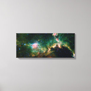 Toile Nebula de Seagull NASA Space