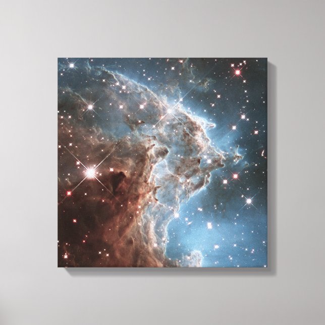 Toile Nebula tête de singe (Recto)