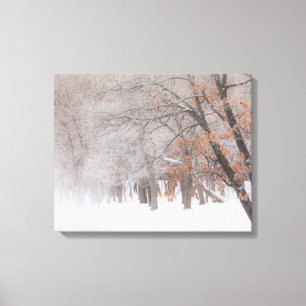 Toile Neige Lac Kussharo