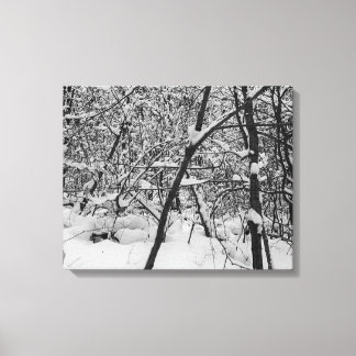 Toile Neige sur les arbres photo en noir et blanc sur to
