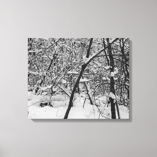 Toile Neige sur les arbres photo en noir et blanc sur to (Recto)