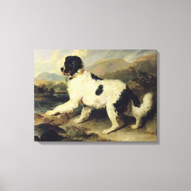Toile Newfoundland Dog Called Lion, 1824 (oil on canvas) (Recto)