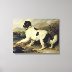 Toile Newfoundland Dog Called Lion, 1824 (oil on canvas)