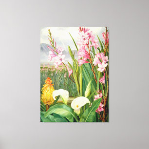 Toile Nord - Beautés des marais, art botanique,