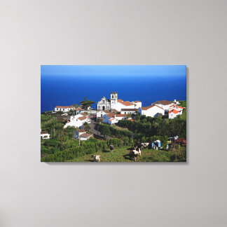 Toile Nordeste - Açores