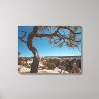 Nouveau-Mexique Photographie du paysage
