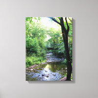 Nouvelle photo Sunlight Tennessee Mountains Creek