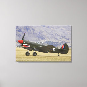Toile Nouvelle-Zélande, Otago, Wanaka, Warbirds Over 5