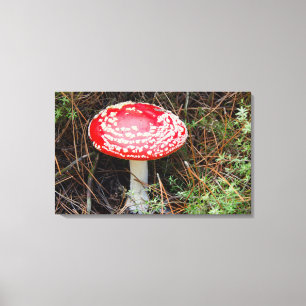 Toile Nouvelle-Zélande, Rotorua, Taupo Zone volcanique