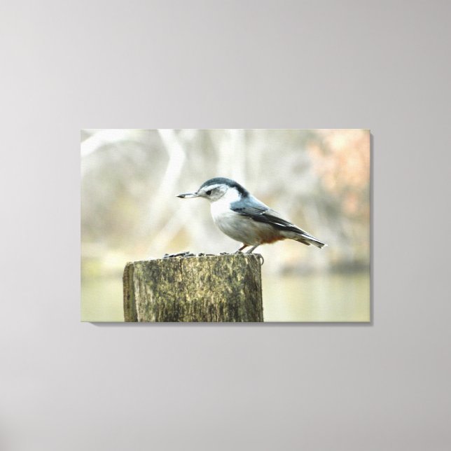Toile Nuthatch avec Graine de tournesol Nature Imprimer (Recto)