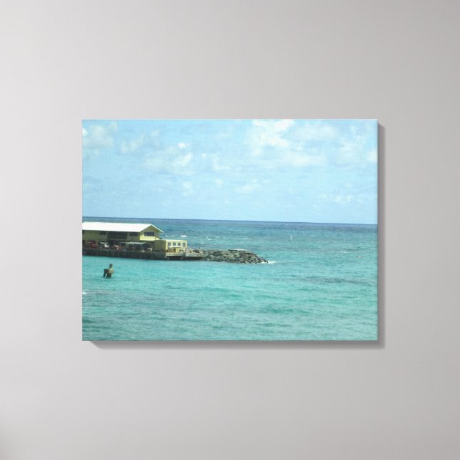 TOILE OAHU HAWAII #15 CANVAS (Recto)