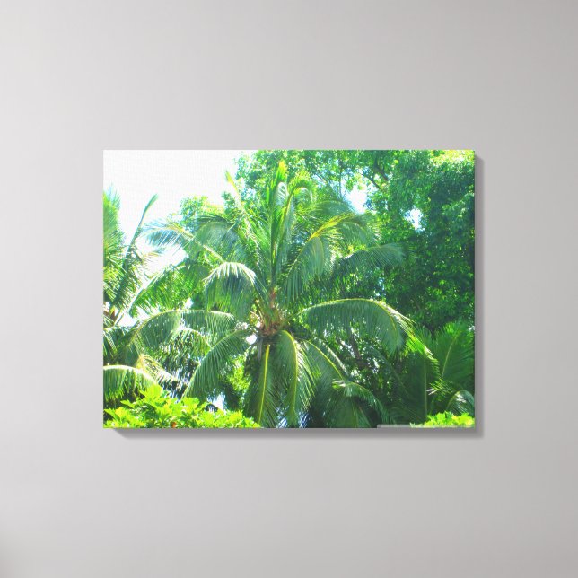 TOILE OAHU HAWAII #17 CANVAS (Recto)