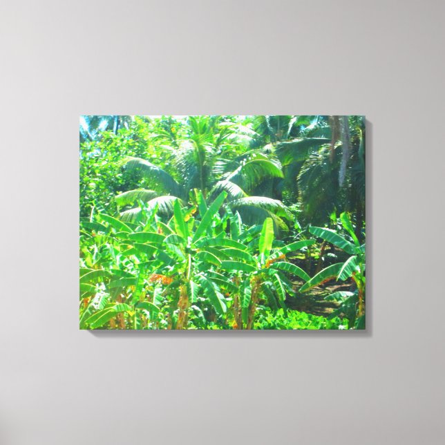 TOILE OAHU HAWAII #21 CANVAS (Recto)