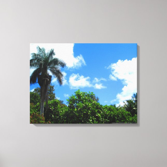 TOILE OAHU HAWAII #22 CANVAS (Recto)