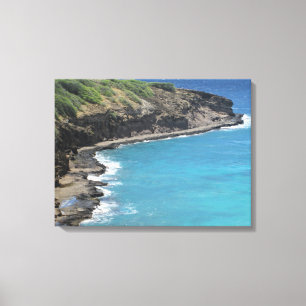 TOILE OAHU HAWAII #27 CANVAS
