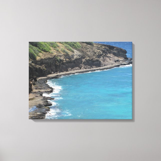 TOILE OAHU HAWAII #27 CANVAS (Recto)