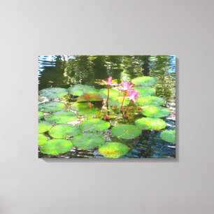 TOILE OAHU HAWAII #8 CANVAS