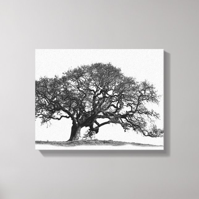 TOILE OAK TREE (Recto)