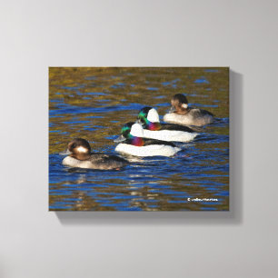 Toile Obtenir mes canards dans une rangée : Quatre canar