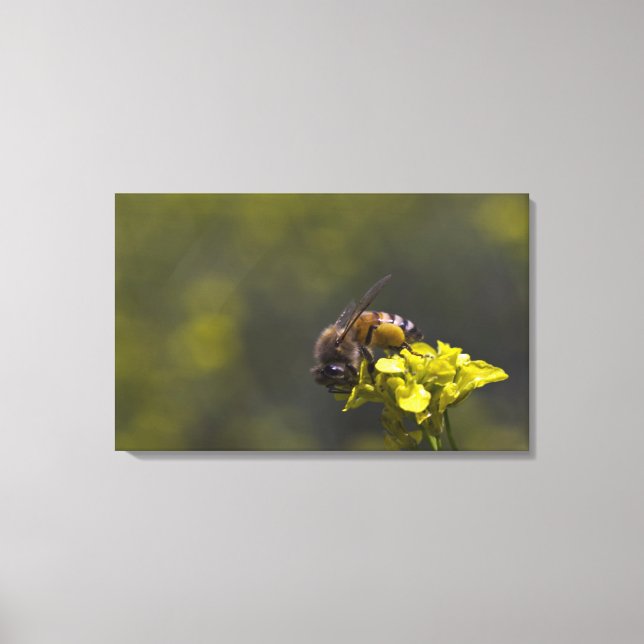 Toile Occupé comme une abeille (Recto)