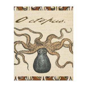 Toile Octopus Kraken Illustration Vintage