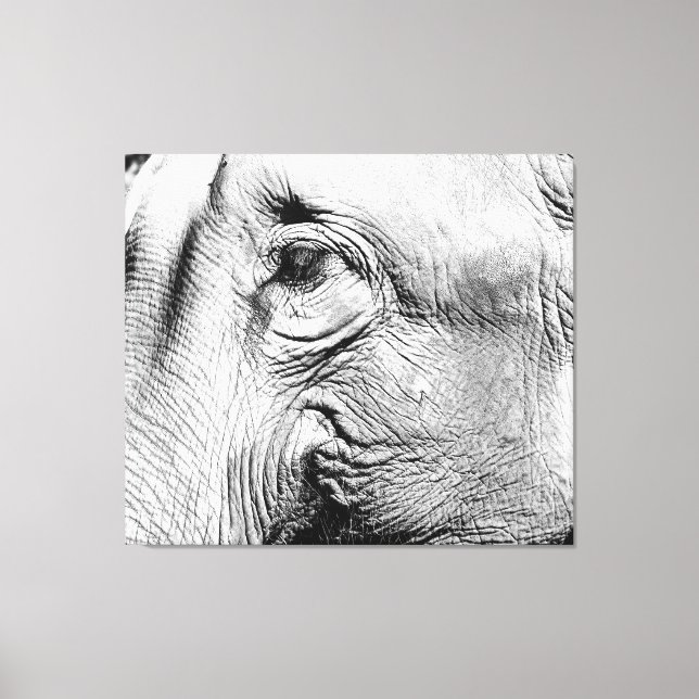 Toile Oeil des éléphants, 2017 (Recto)