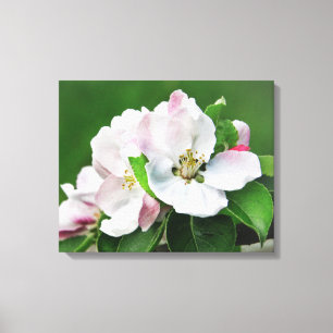 Toile OEuvre murale en fleur d'arbre d'Apple