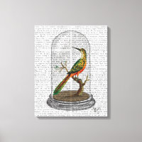 Oiseau Dans Bell Jar