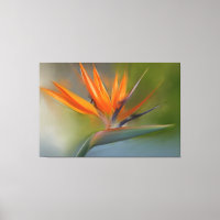 Oiseau de Paradis Fleur Tableau original