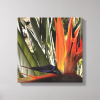 Oiseau du Paradis Strelitzia Reginae Acrylique Pai