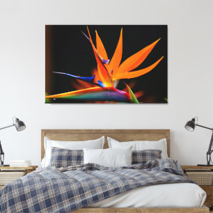 Toile Oiseau flamboyant du Paradis Fleur