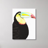 Oiseau tropical Toucan